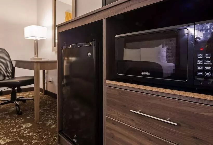 اتاق استاندارد, Ramada By Wyndham Cedar Rapids South