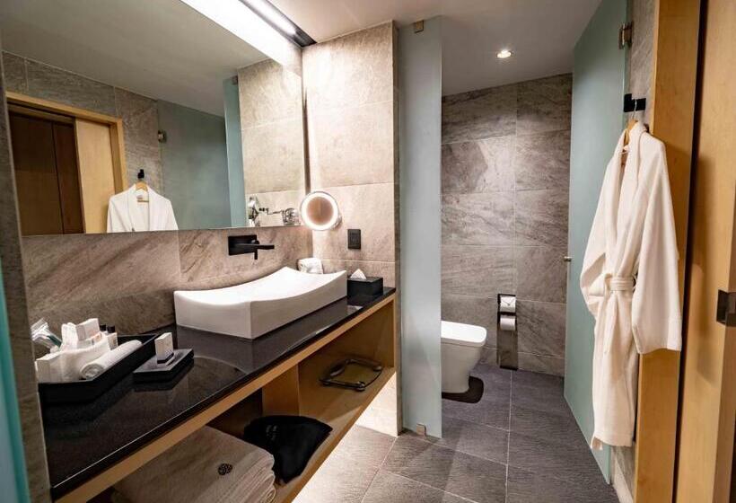 デラックスルーム, Galeria Plaza San Jeronimo