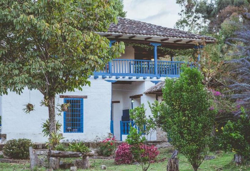 테라스 스위트, Hacienda Pisoje