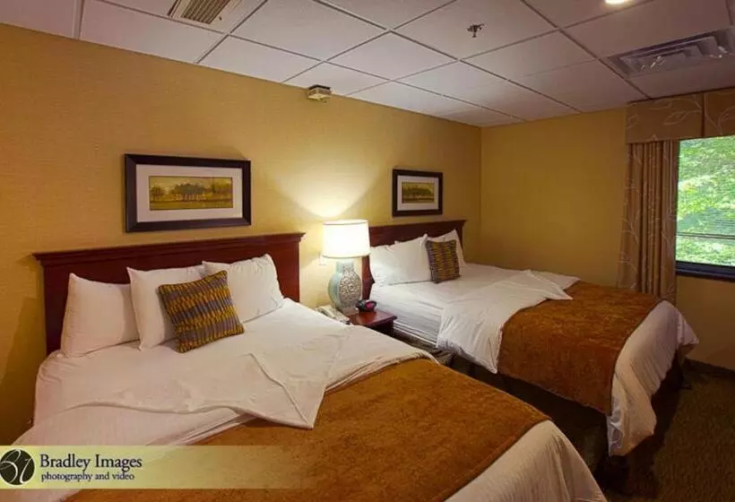 デラックスルーム, Bolger Hotel And Conference Center