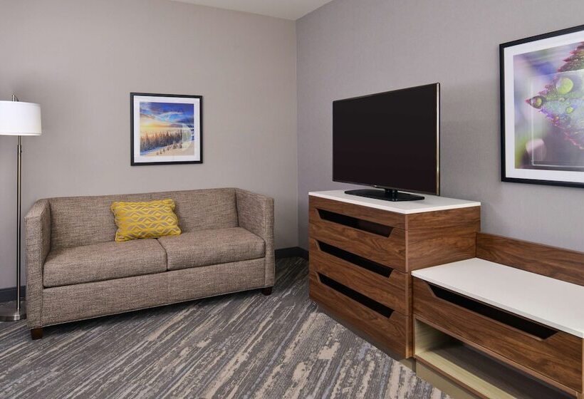 套房, Hampton Inn & Suites Boise/spectrum