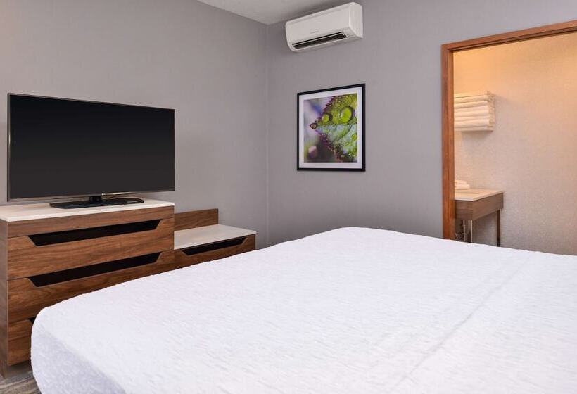 اتاق استاندارد, Hampton Inn & Suites Boise/spectrum