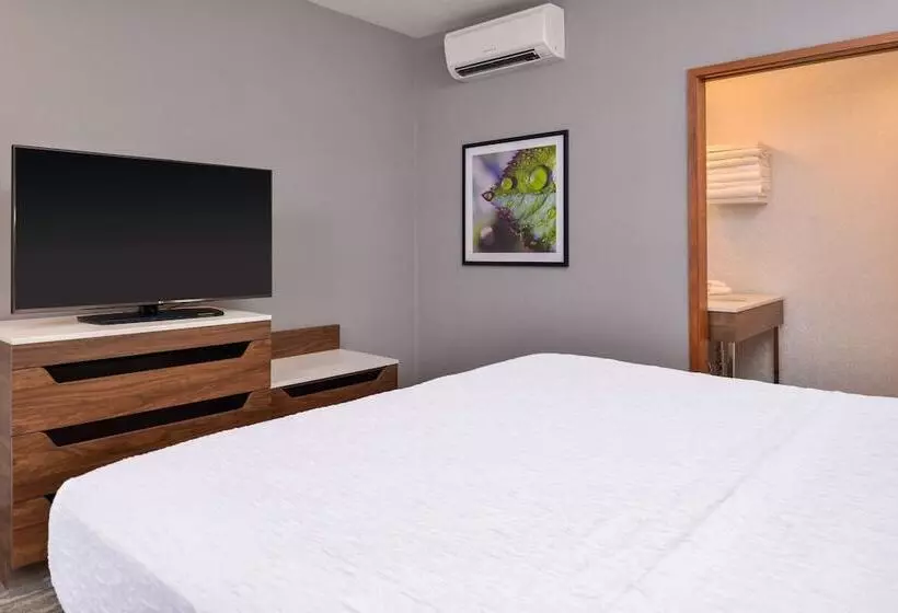 اتاق استاندارد, Hampton Inn & Suites Boise/spectrum