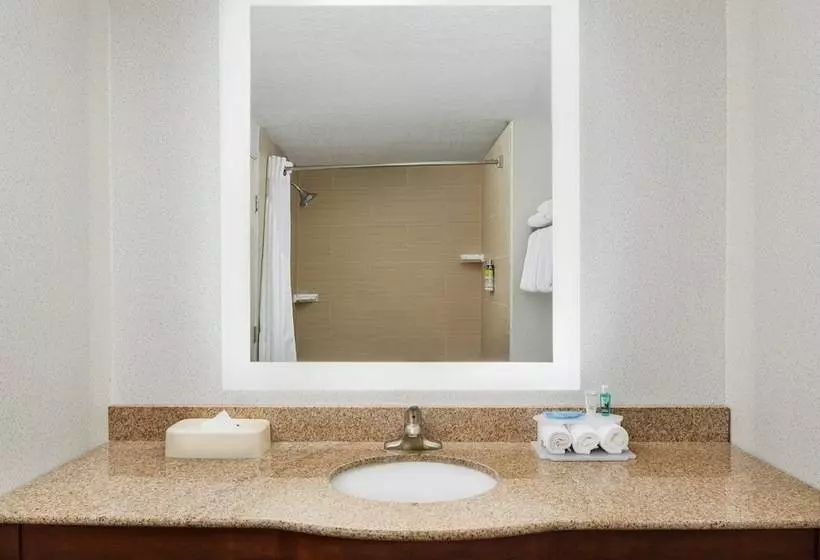ダブルベッドスタンダードルーム, Holiday Inn Express & Suites Jacksonville South East Medical Center Area, An Ihg