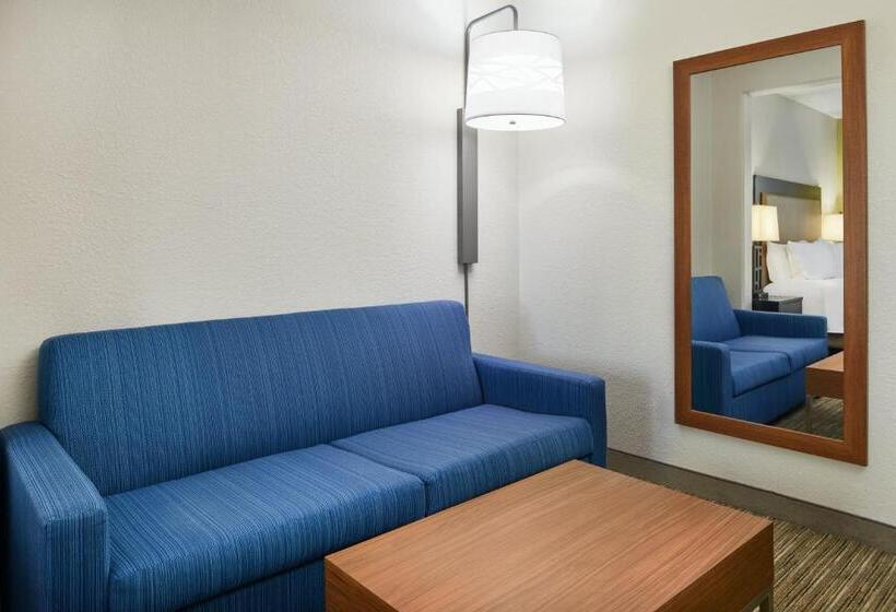 キングサイズベッドのスタンダードルーム, Holiday Inn Express & Suites Jacksonville South East   Medical Center Area, An Ihg