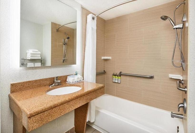 身障者適用キングサイズベッドルーム, Holiday Inn Express & Suites Jacksonville South East   Medical Center Area, An Ihg