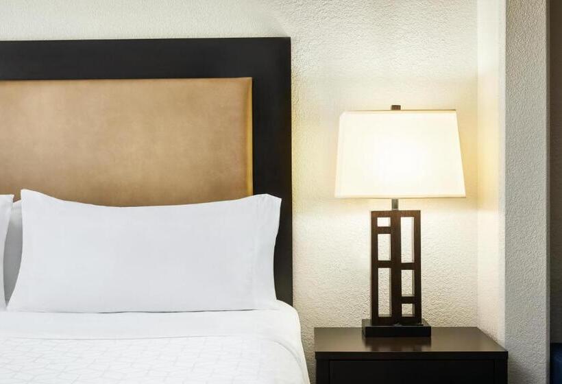 身障者適用キングサイズベッドルーム, Holiday Inn Express & Suites Jacksonville South East   Medical Center Area, An Ihg
