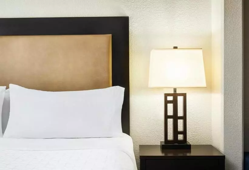 身障者適用キングサイズベッドルーム, Holiday Inn Express & Suites Jacksonville South East Medical Center Area, An Ihg