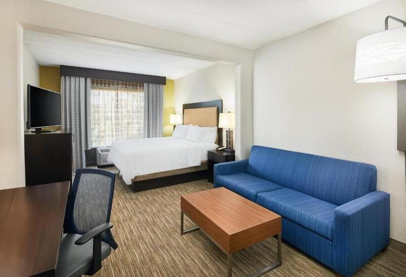身障者適用キングサイズベッドルーム, Holiday Inn Express & Suites Jacksonville South East   Medical Center Area, An Ihg