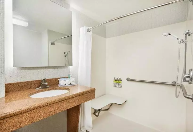身障者適用スタンダードルーム, Holiday Inn Express & Suites Jacksonville South East Medical Center Area, An Ihg