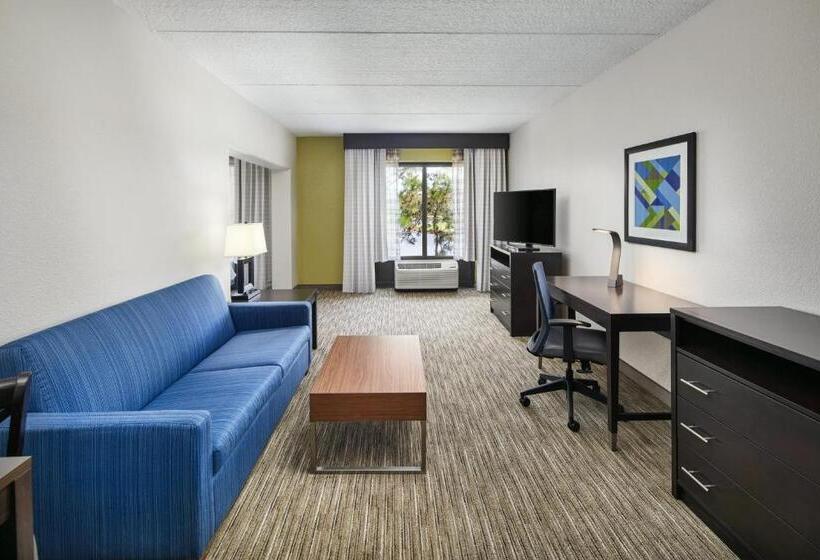 エクゼクティブスイート, Holiday Inn Express & Suites Jacksonville South East   Medical Center Area, An Ihg