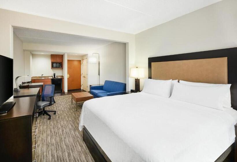 キングサイズベッドのスイートルーム, Holiday Inn Express & Suites Jacksonville South East   Medical Center Area, An Ihg
