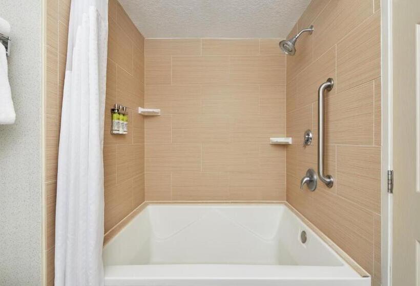 デラックススイート, Holiday Inn Express & Suites Jacksonville South East   Medical Center Area, An Ihg