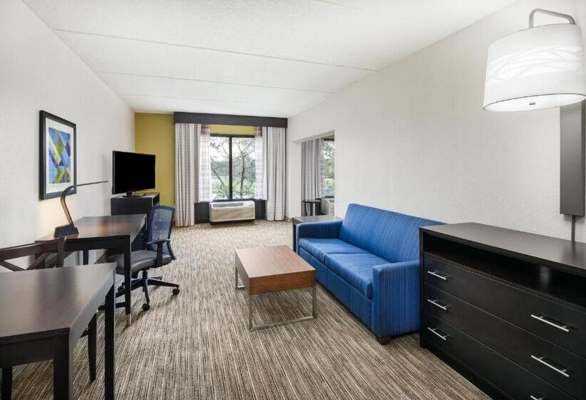 デラックススイート, Holiday Inn Express & Suites Jacksonville South East   Medical Center Area, An Ihg