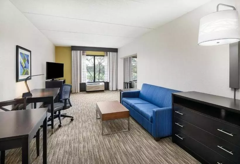 デラックススイート, Holiday Inn Express & Suites Jacksonville South East Medical Center Area, An Ihg
