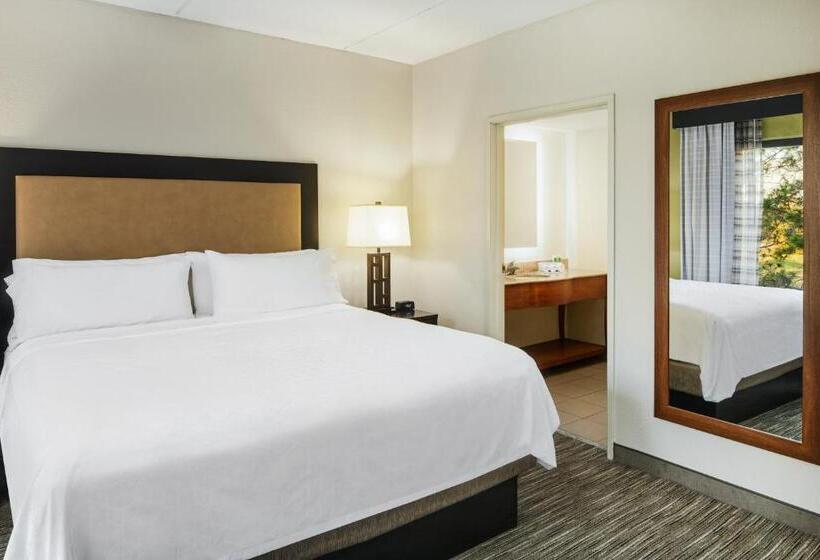デラックススイート, Holiday Inn Express & Suites Jacksonville South East   Medical Center Area, An Ihg