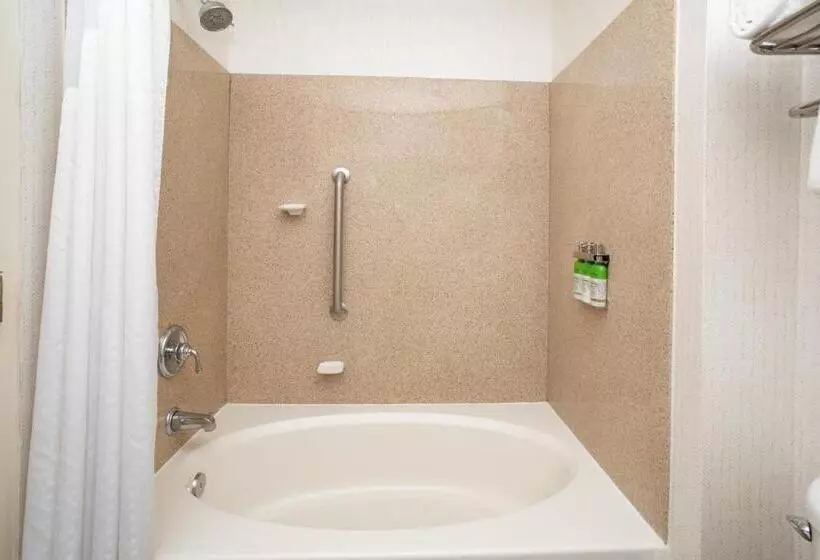 キングサイズベッドのスタンダードルーム, Holiday Inn & Suites Goodyear   West Phoenix Area, An Ihg