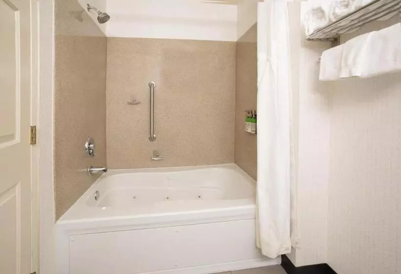 キングサイズベッドのスイートルーム, Holiday Inn & Suites Goodyear   West Phoenix Area, An Ihg