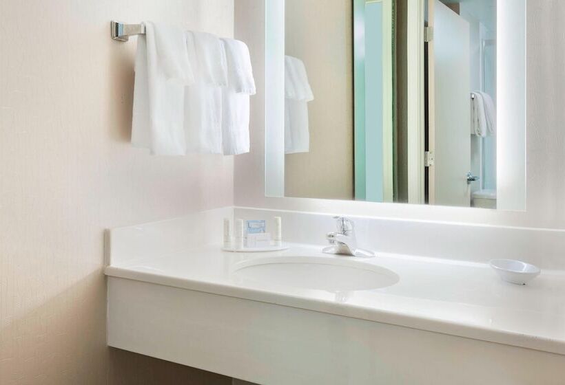 Suíte para Deficientes Físicos, Springhill Suites Asheville
