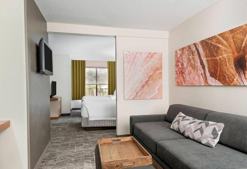 Люкс Адаптированный для Инвалидов, Springhill Suites Asheville