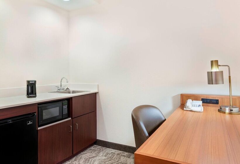 장애인을 위한 스위트, Springhill Suites Asheville