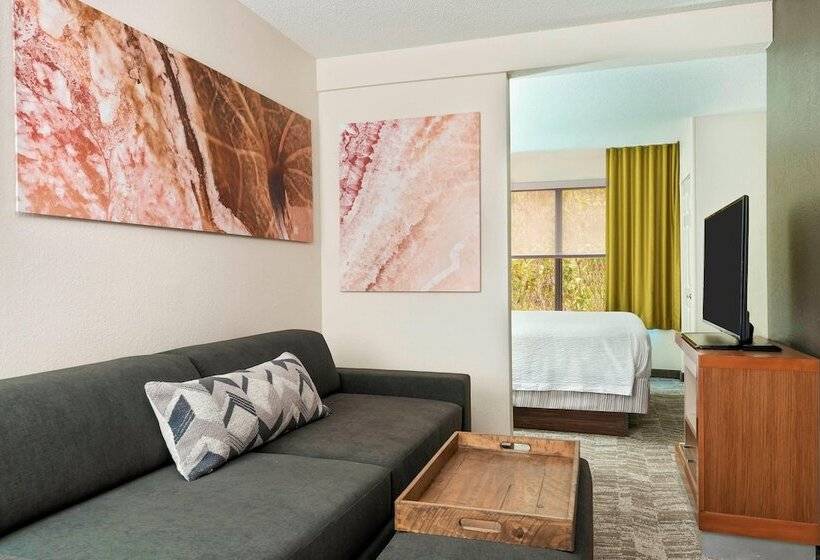 Suíte para Deficientes Físicos, Springhill Suites Asheville
