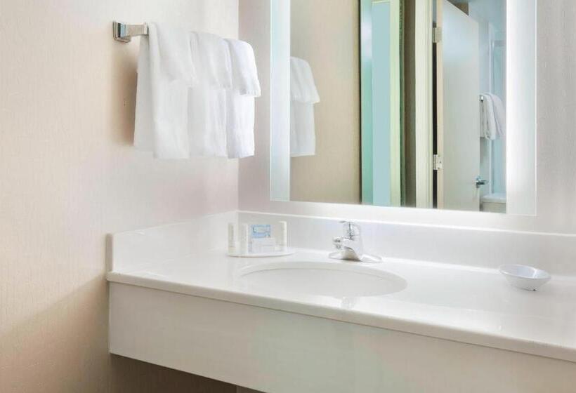 스탠다드 룸 더블 침대 2개, Springhill Suites Asheville