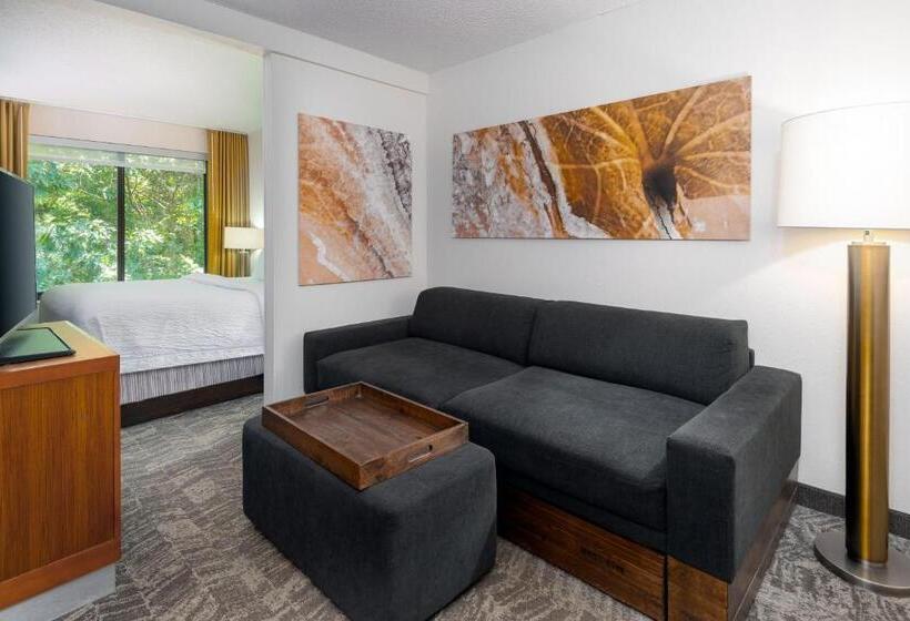 Suíte Cama King, Springhill Suites Asheville