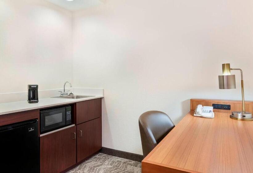 Люкс Кровать Кинг, Springhill Suites Asheville
