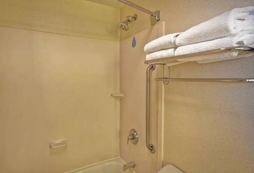 استودیوی استاندارد, Springhill Suites By Marriott Baltimore Bwi Airport