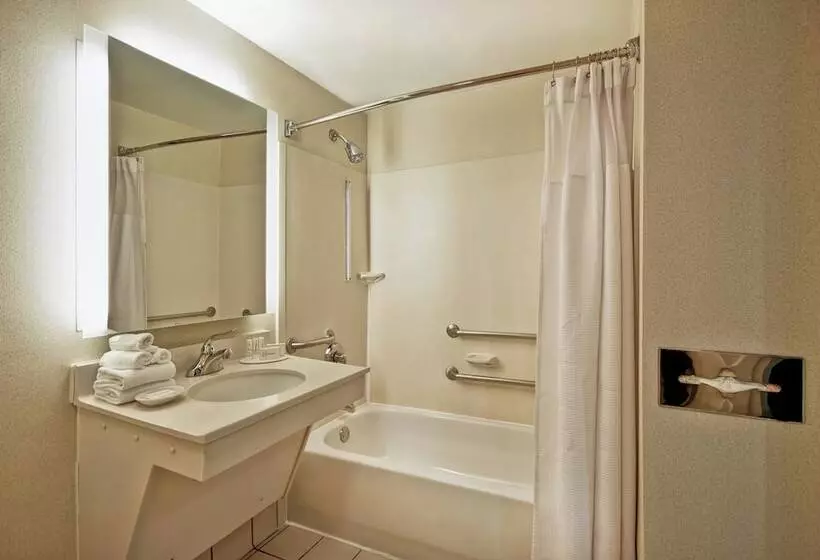 استودیوی استاندارد, Springhill Suites By Marriott Baltimore Bwi Airport