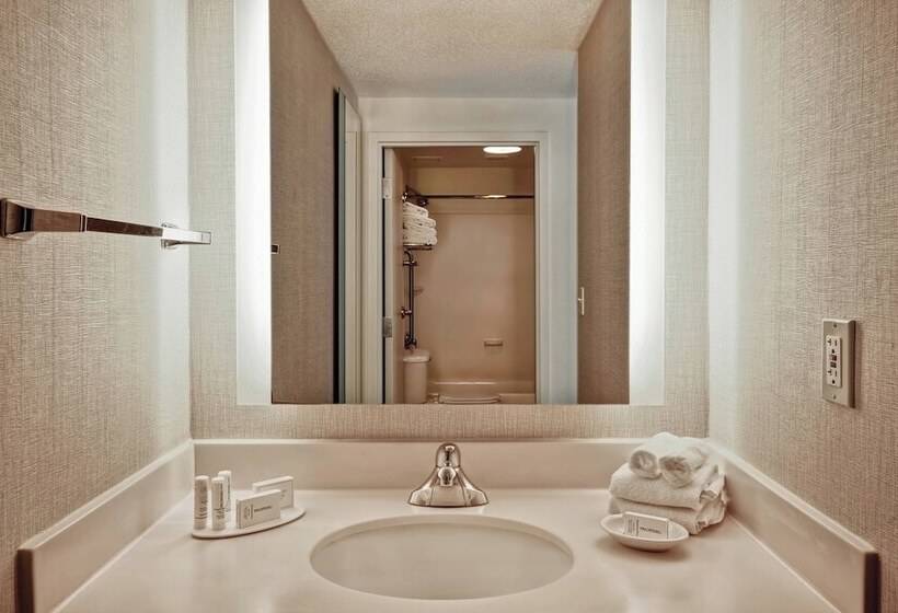 スタンダードルーム, Springhill Suites By Marriott Baltimore Bwi Airport