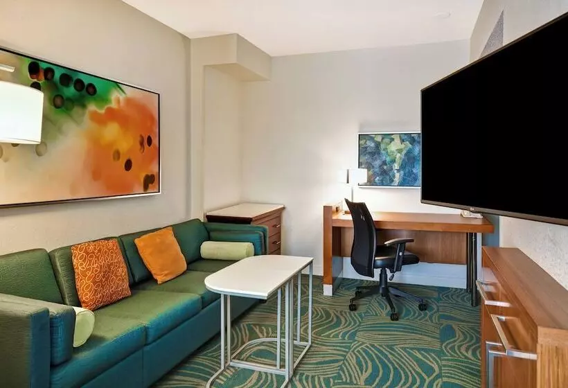 اتاق استاندارد, Springhill Suites By Marriott Baltimore Bwi Airport