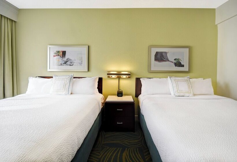 スタンダードルーム, Springhill Suites By Marriott Baltimore Bwi Airport