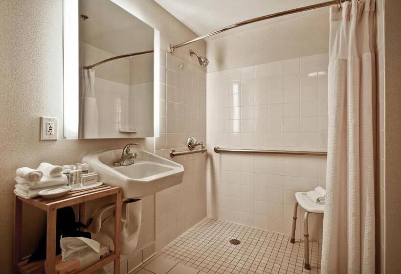 스탠다드 스튜디오 킹침대, Springhill Suites By Marriott Baltimore Bwi Airport