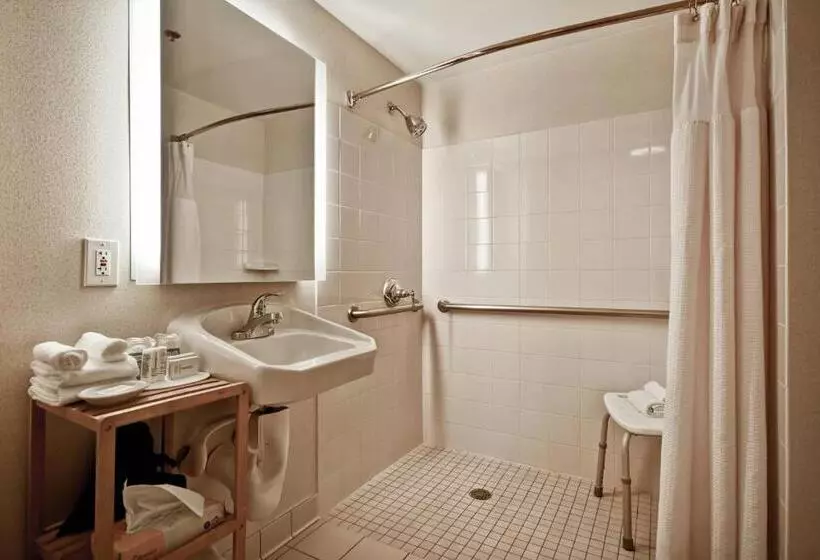 استودیو استاندارد با تخت کینگ, Springhill Suites By Marriott Baltimore Bwi Airport