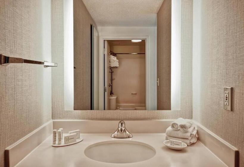 キングサイドベッドのスタンダードワンルーム, Springhill Suites By Marriott Baltimore Bwi Airport