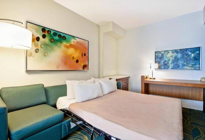 Студио Стандарт Кровать Кинг, Springhill Suites By Marriott Baltimore Bwi Airport