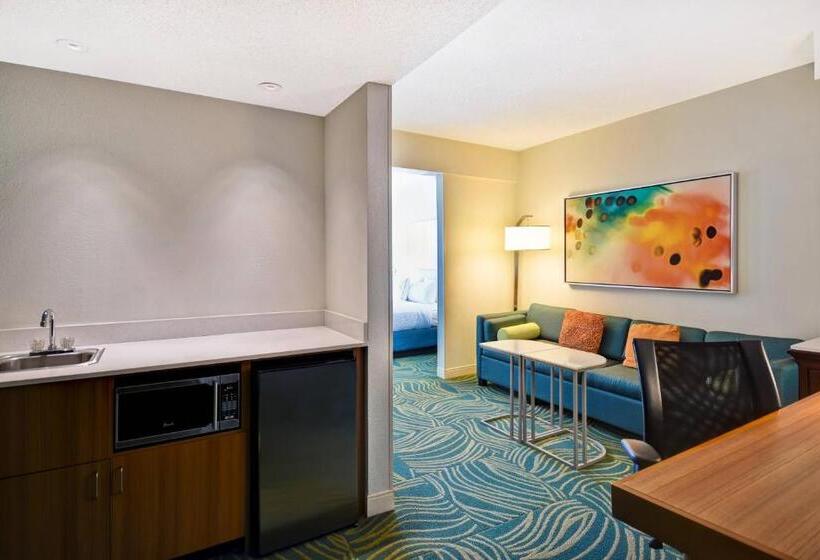 스탠다드 스튜디오 킹침대, Springhill Suites By Marriott Baltimore Bwi Airport