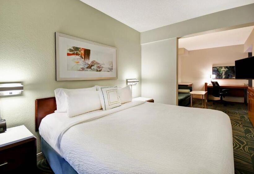 Студио Стандарт Кровать Кинг, Springhill Suites By Marriott Baltimore Bwi Airport