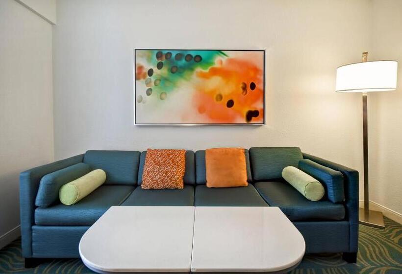 스탠다드 스튜디오 킹침대, Springhill Suites By Marriott Baltimore Bwi Airport