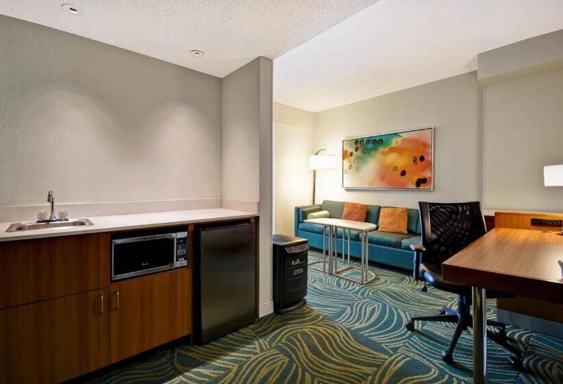 キングサイズベッドのスタンダードルーム, Springhill Suites By Marriott Baltimore Bwi Airport
