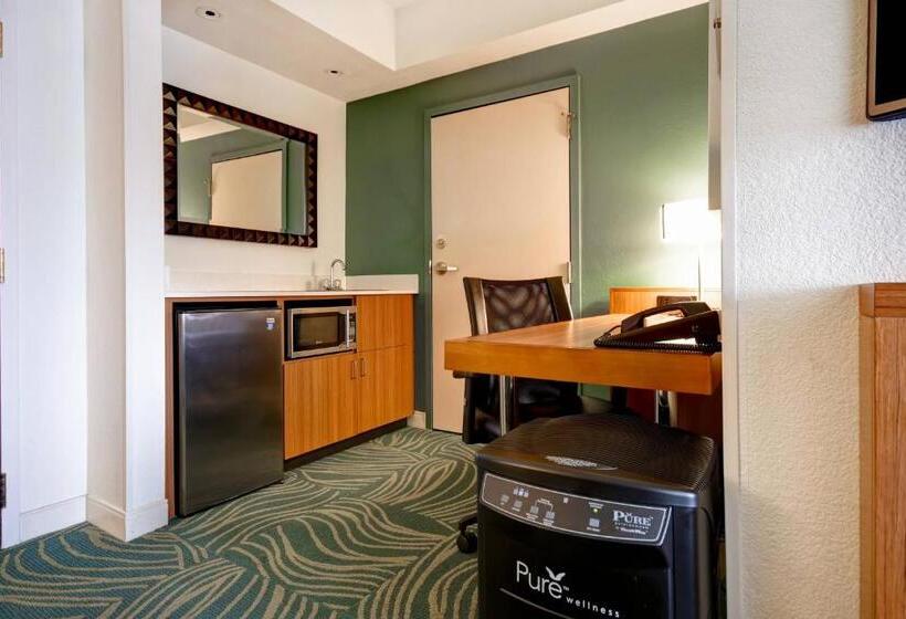 キングサイズベッドのスタンダードルーム, Springhill Suites By Marriott Baltimore Bwi Airport