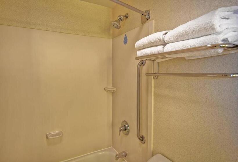 스탠다드 룸, Springhill Suites By Marriott Baltimore Bwi Airport