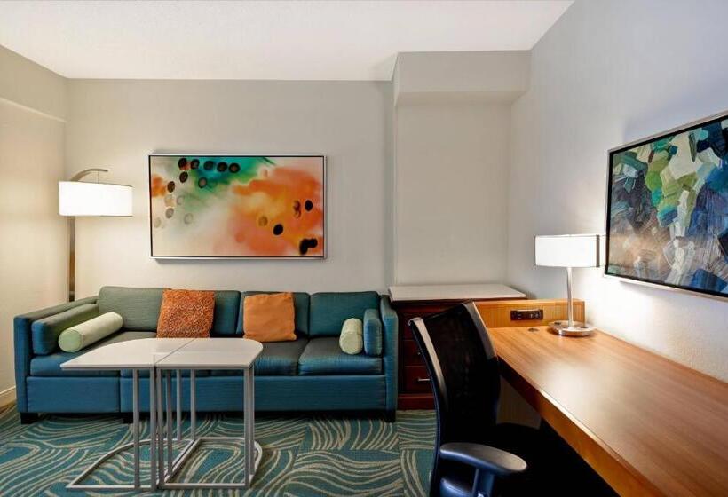 스탠다드 룸, Springhill Suites By Marriott Baltimore Bwi Airport