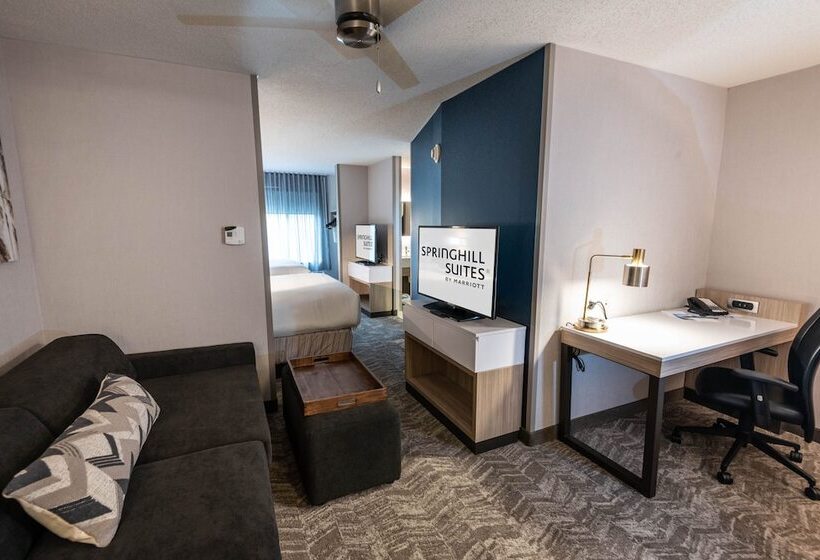 스위트, Springhill Suites Columbus Airport Gahanna