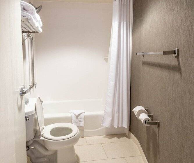 Люкс, Springhill Suites Columbus Airport Gahanna