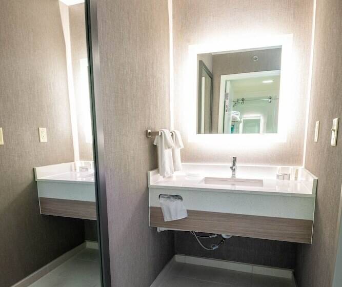 스위트, Springhill Suites Columbus Airport Gahanna