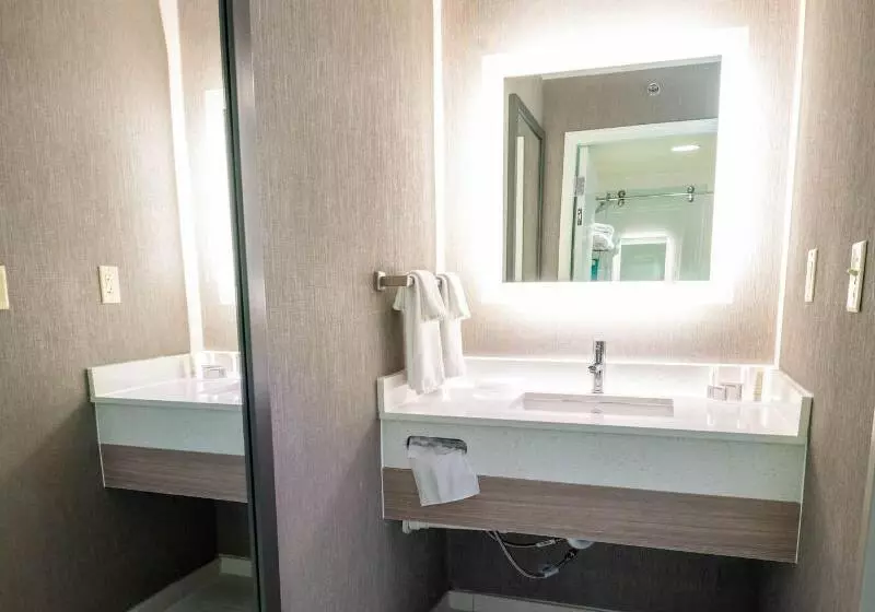 キングサイズベッドのスイートルーム, Springhill Suites Columbus Airport Gahanna