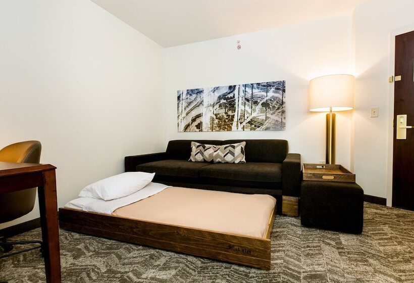 套房, Springhill Suites Florence